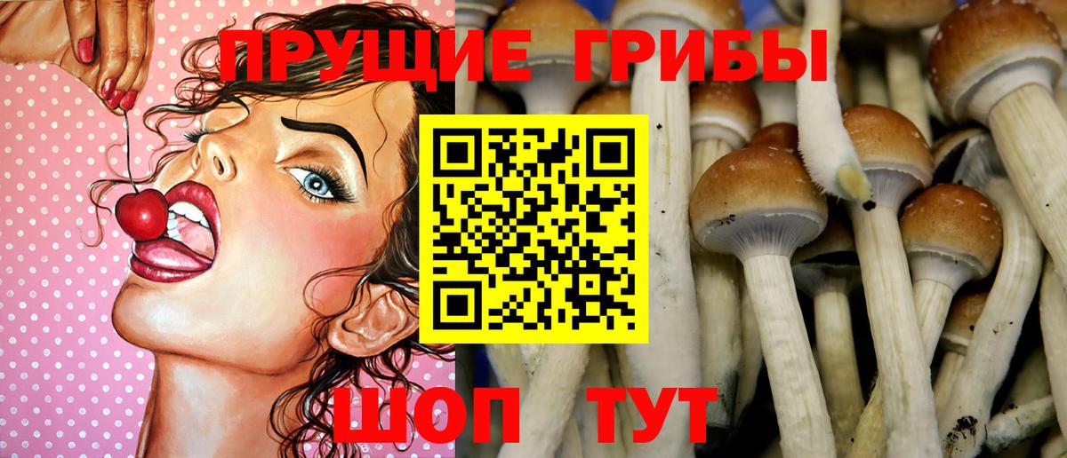 Норильск  Псилоцибиновые грибы Cubensis  Вход с VPN 