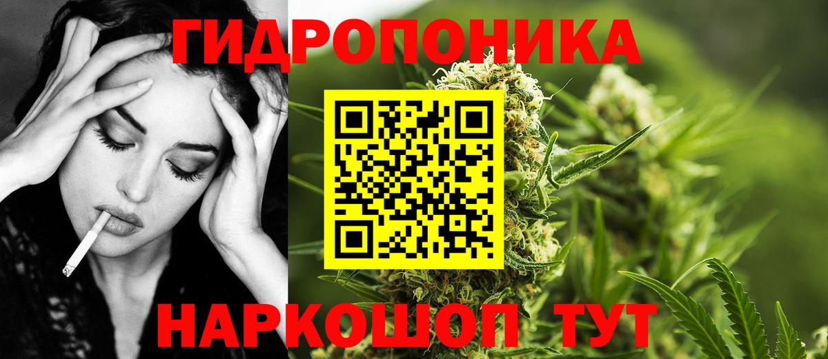 Норильск  Каннабис Bruce Banner  Каннабис планчик  Конопля сатива  Вход с VPN 